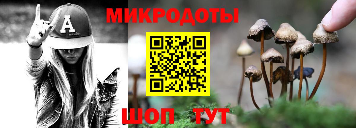 наркота  Вход с VPN  Курчатов  Галлюциногенные грибы мицелий 
