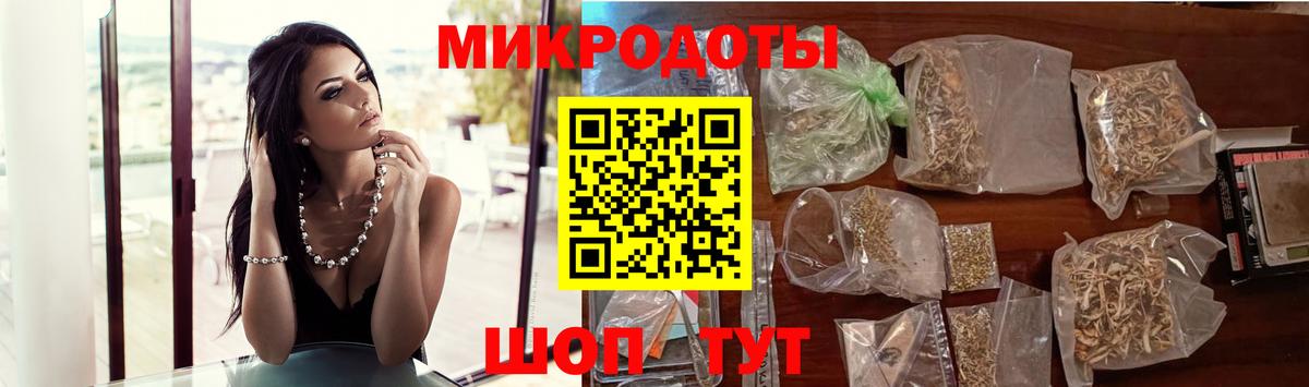 Галлюциногенные грибы Psilocybe Курчатов